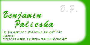 benjamin palicska business card